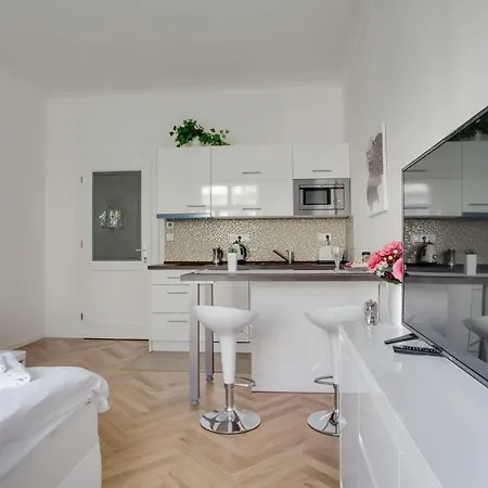 New Cozy Studio In The Center Of 아파트 프라하